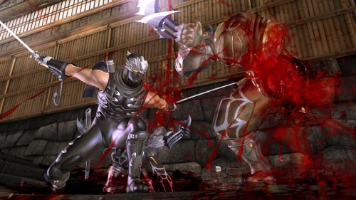 Ninja Gaiden II image