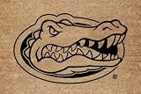 Florida Flocked Door Mat