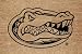 Florida Flocked Door Mat
