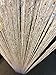 Hysenm 2 Pack Glitter String Curtains 39x79 Inch Fringe Panels Room Divider Fly Screen for Home DÃ©cor Door Windows Wedding Party Hotel Living Room Doorways Restaurant, White 39x79 Inch