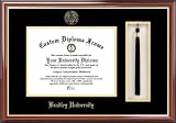 Bradley University Braves - Embossed Seal - Tassel Box - Mahogany - Diploma Frame