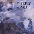 Blackbird Raum - Live in Concert