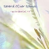 Several Other Sounds