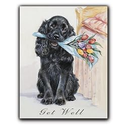 A Bouquet for You II - Get Well Gift Enclosure Cards (set of 12)
