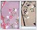 桜 ちりめん金封ふくさセット