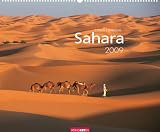 Sahara 2009