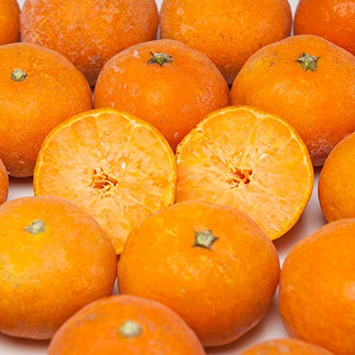 急速冷凍赤ちゃんミカン 1.5kg(佐藤農場)佐賀県産有機JAS認定・産地直送 急速冷凍赤ちゃんミカン 1.5kg(佐藤農場)佐賀県産有機JAS認定・産地直送