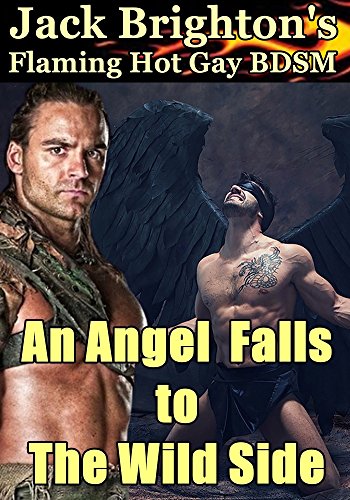 An Angel Falls to The Wild Side: Flaming Hot Gay BDSM (Tales from The Wild Side Book 8)