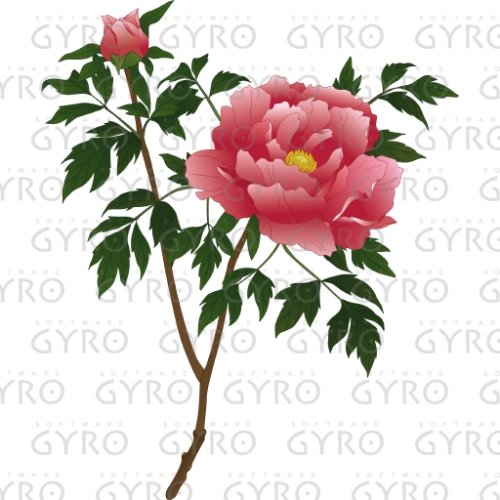 植物(1) 春〜夏の樹木