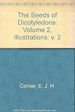 The seeds of dicotyledons