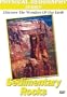 Physcial Geography: Sedimentary Rocks and Their Information