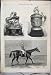 1867 Ascot Cup Queens Gold Cup Lecturer Horse Old Print