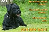 Metall - Warnschild Riesenschnauzer
