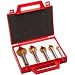 Magafor 4832 Series Cobalt Steel Single-End Countersink Set, TiN Coating, 3 Flutes, 60 Degrees, Round Shank (5 Piece Set)
