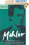 Mahler: Symphony No. 3 (Cambridge Music Handbooks)