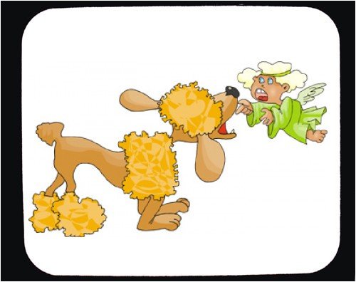 image link -  - B000T6IDFY