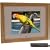 8" Light Wood Digital Photo Frame by Living Images