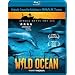 Wild Ocean (IMAX) (Bilingual) [Blu-ray]