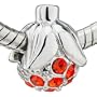 Orange Red Fruit Classic Pugster Beads Pandora Chamilia Charms Compatible