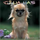 Chihuahuas 2008 Wall Calendar