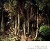 Image of album by Castanets