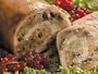 Chicken Breast Roulades