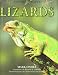 Search : Nature Watch - Lizards