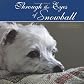 Through the Eyes of Snowball