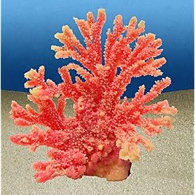 Nature's Image Artificial Corals: Fan Acropora Pink by Nature's Image