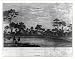 Historic Print (M): A view of Bassa Cove (in Liberia)