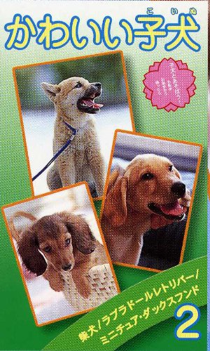 Cover image : (VHS) かわいい子犬 volume.2 [VHS]