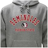 Florida State University Campus Yard Printed Fleece Hoodie at Colosseum