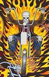 Flame Skull Biker Decorative Switchplate Cover