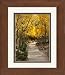 Framed Personalized Graduation Gift with Verse from The Road Not Taken Poem. Aspen Path Photo, 8x10 Double Matted. Add Your Personalization for Unique Graduate Keepsake.