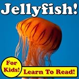 Jellyfish! Learn About Jellyfish While Learning To Read - Jellyfish Photos And Facts Make It Easy! (Over 45+ Photos of Jellyfish)