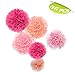 Aspire 36 Pcs Paper Decorations Pom Pom Pink Tissue Paper Flower Birthday Celebration Party Favors