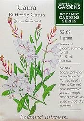 Butterfly Gaura Botanic Gardens Seeds 75 Seeds
