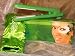 Health & Personal Care : HERSTYLER CERAMIC 1.5" GREEN COLORFUL SEASONS FLAT IRON