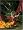 Ninja Gaiden Dragon Sword