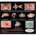 Human Anatomy and Physiology Student Dissection Companion: Fetal Pig Edition 2 by  Marc Dunegan