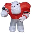 Georgia Hairy - 6 Foot Tall Inflatable Mascot