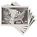 American Educational 3025 15 Piece Landform Flat Maps Set