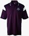 Game Day Dry-Excel<TT><SUP>TM</TT></SUP> Elliptical Jacquard Shirt from Holloway Sportswear Image