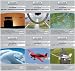 Software : PPL Ground Training 6 Pk (PC)