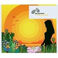 Produkt-Information 