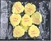 Yellow Fluted Wedding Hearts [100/1oz. Packets]