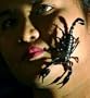 Best of Scorpions Vol 2