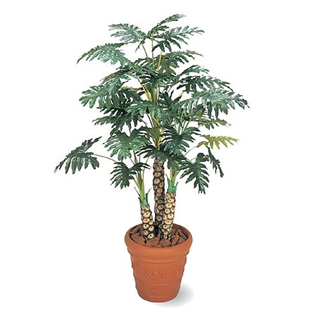 【人工植物】セローム