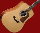 NEW PRO WASHBURN DREADNOUGHT ACOUSTIC GUITAR D52SWK