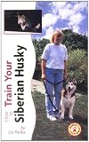 Siberian Husky (How to Train)